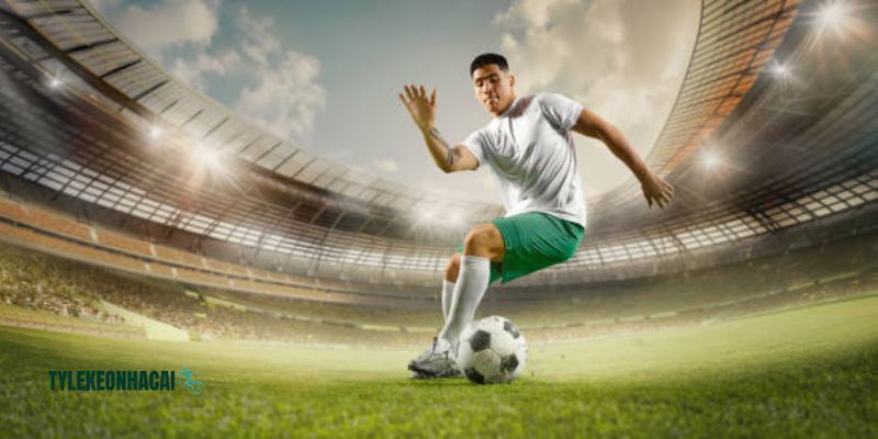 Một số danh mục nổi bật được dùng nhiều nhất trên nền tảng