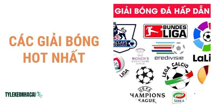 Tại intermedios.org.mx luôn cập nhật đầy đủ lịch mọi giải đấu bóng